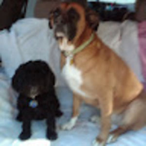 Meet your Posher, Beth